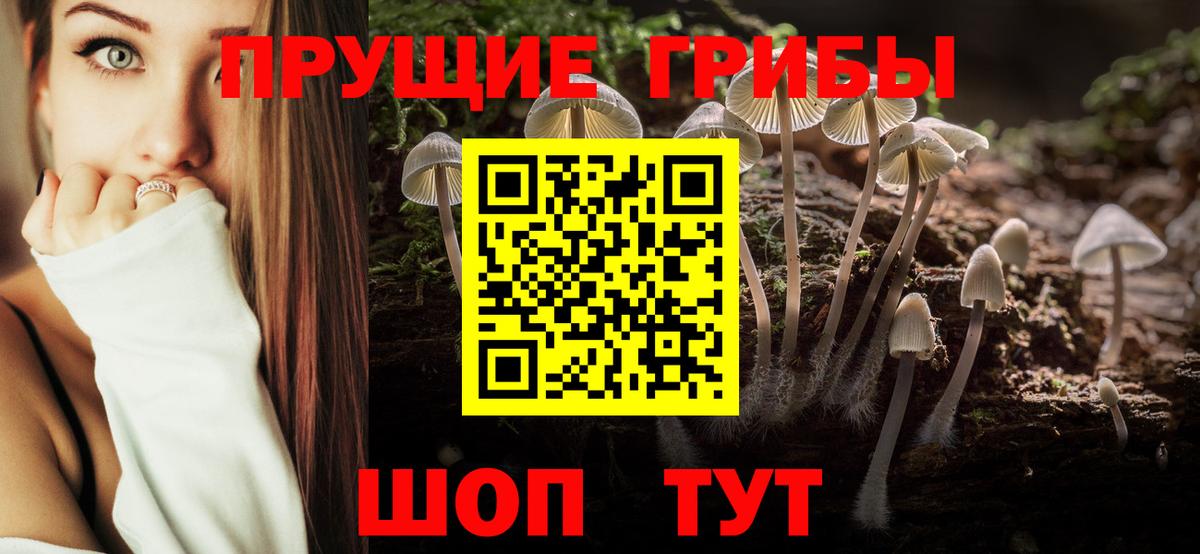 Псилоцибиновые грибы прущие грибы Славянск-на-Кубани