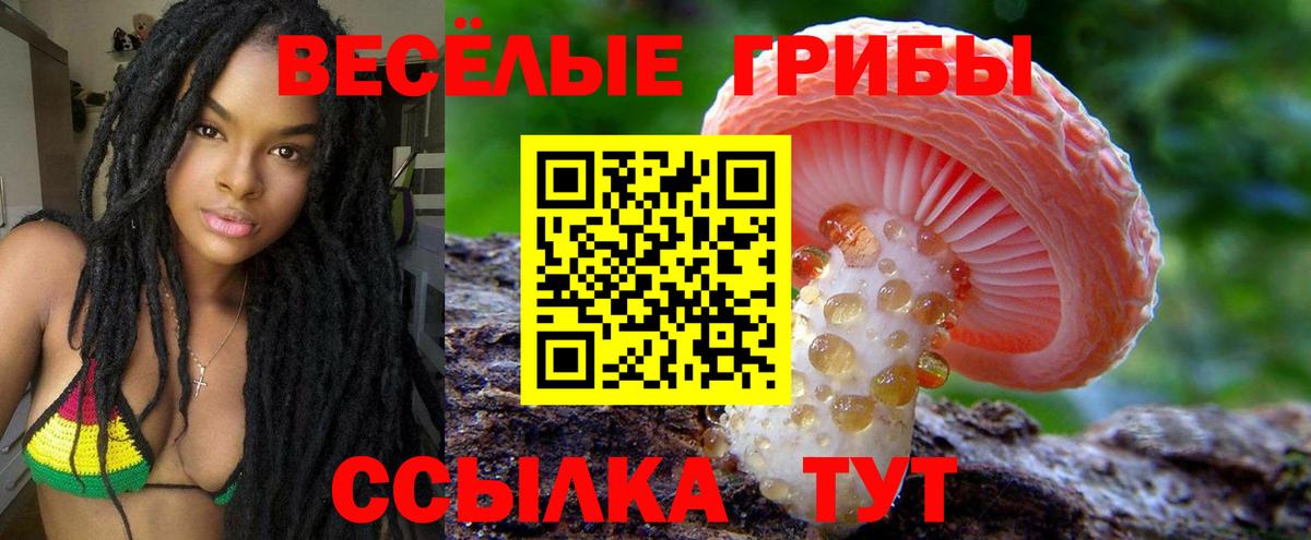 Славянск-на-Кубани  Псилоцибиновые грибы Cubensis  Вход с VPN 